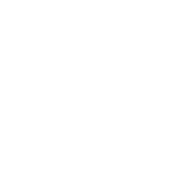 ce logo Cheyenne