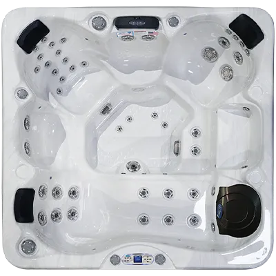Avalon EC-849L hot tubs for sale in Cheyenne